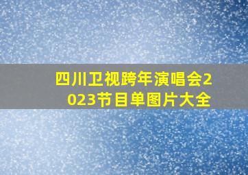 四川卫视跨年演唱会2023节目单图片大全