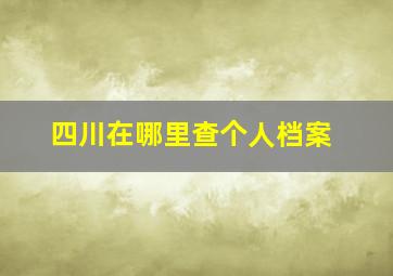 四川在哪里查个人档案