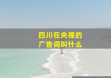 四川在央视的广告词叫什么