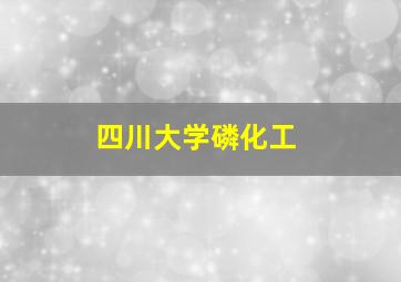 四川大学磷化工