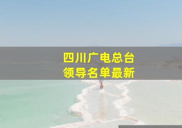 四川广电总台领导名单最新