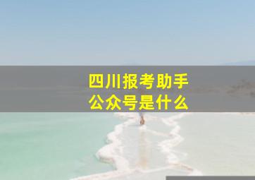 四川报考助手公众号是什么