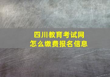 四川教育考试网怎么缴费报名信息