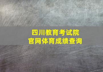 四川教育考试院官网体育成绩查询