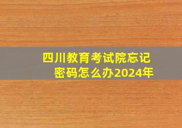 四川教育考试院忘记密码怎么办2024年