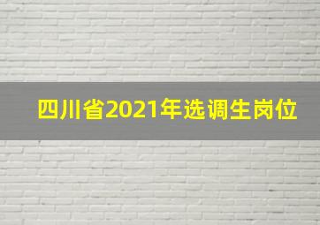 四川省2021年选调生岗位