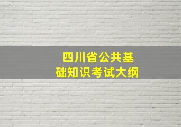 四川省公共基础知识考试大纲