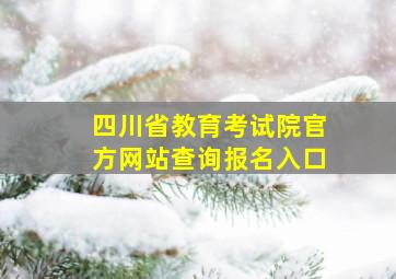 四川省教育考试院官方网站查询报名入口