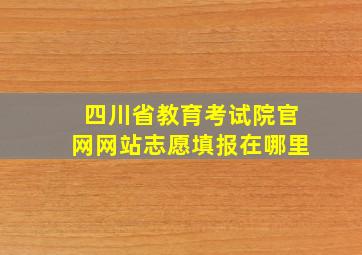 四川省教育考试院官网网站志愿填报在哪里