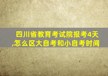 四川省教育考试院报考4天,怎么区大自考和小自考时间