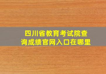 四川省教育考试院查询成绩官网入口在哪里