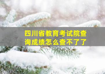 四川省教育考试院查询成绩怎么查不了了