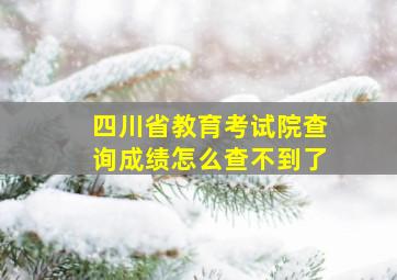 四川省教育考试院查询成绩怎么查不到了