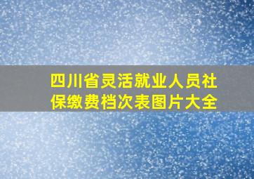 四川省灵活就业人员社保缴费档次表图片大全