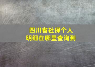 四川省社保个人明细在哪里查询到