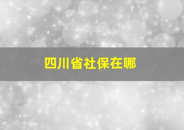 四川省社保在哪