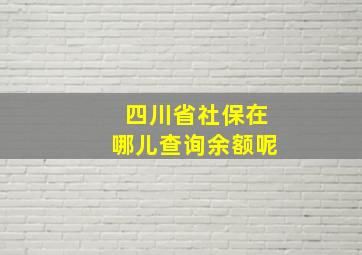 四川省社保在哪儿查询余额呢