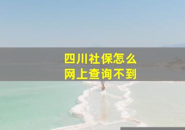 四川社保怎么网上查询不到