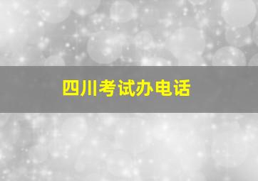 四川考试办电话