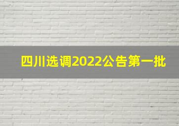 四川选调2022公告第一批