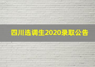 四川选调生2020录取公告