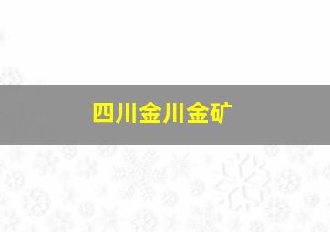 四川金川金矿