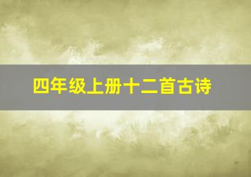 四年级上册十二首古诗