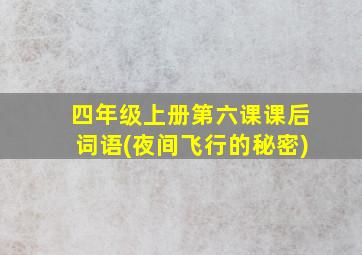 四年级上册第六课课后词语(夜间飞行的秘密)