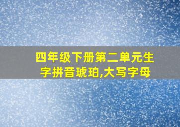 四年级下册第二单元生字拼音琥珀,大写字母