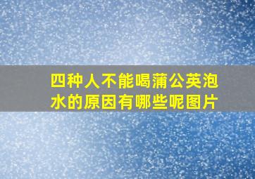 四种人不能喝蒲公英泡水的原因有哪些呢图片