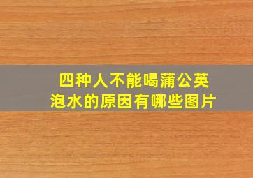 四种人不能喝蒲公英泡水的原因有哪些图片