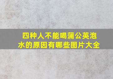 四种人不能喝蒲公英泡水的原因有哪些图片大全