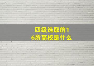 四级选取的16所高校是什么