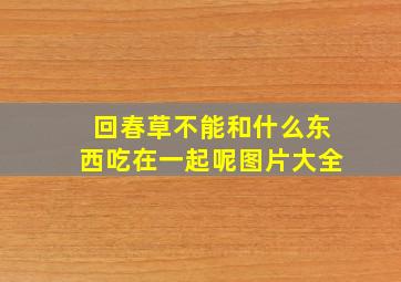 回春草不能和什么东西吃在一起呢图片大全