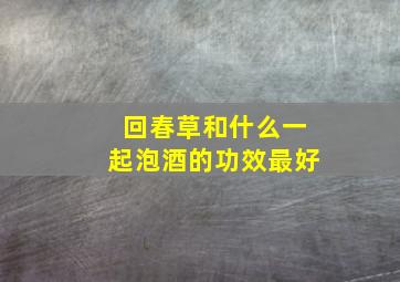 回春草和什么一起泡酒的功效最好