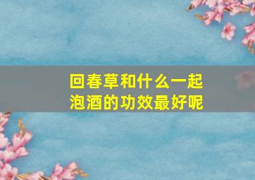 回春草和什么一起泡酒的功效最好呢