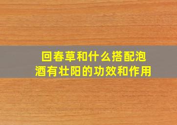 回春草和什么搭配泡酒有壮阳的功效和作用