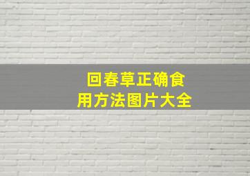 回春草正确食用方法图片大全