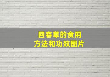 回春草的食用方法和功效图片