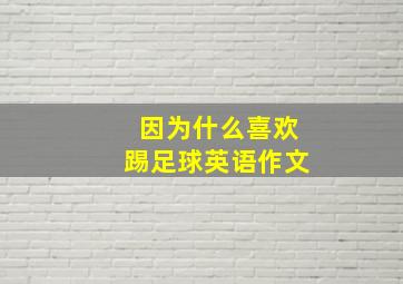 因为什么喜欢踢足球英语作文