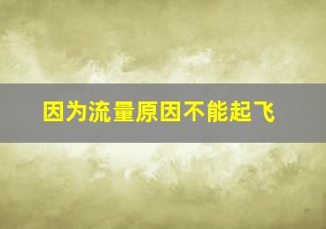 因为流量原因不能起飞