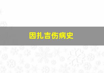 因扎吉伤病史