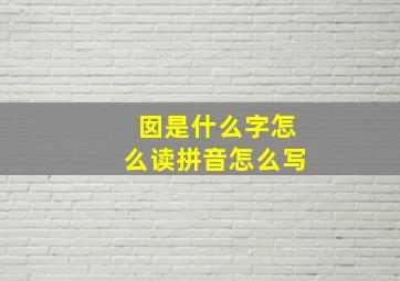 囡是什么字怎么读拼音怎么写