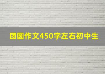 团圆作文450字左右初中生