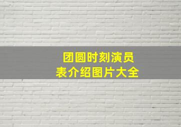 团圆时刻演员表介绍图片大全