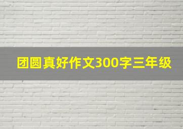 团圆真好作文300字三年级