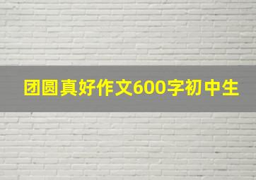 团圆真好作文600字初中生