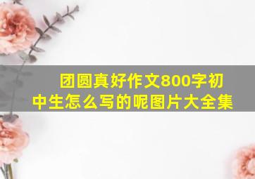 团圆真好作文800字初中生怎么写的呢图片大全集