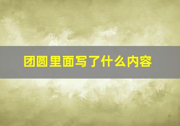 团圆里面写了什么内容