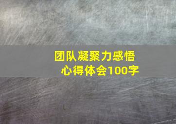 团队凝聚力感悟心得体会100字